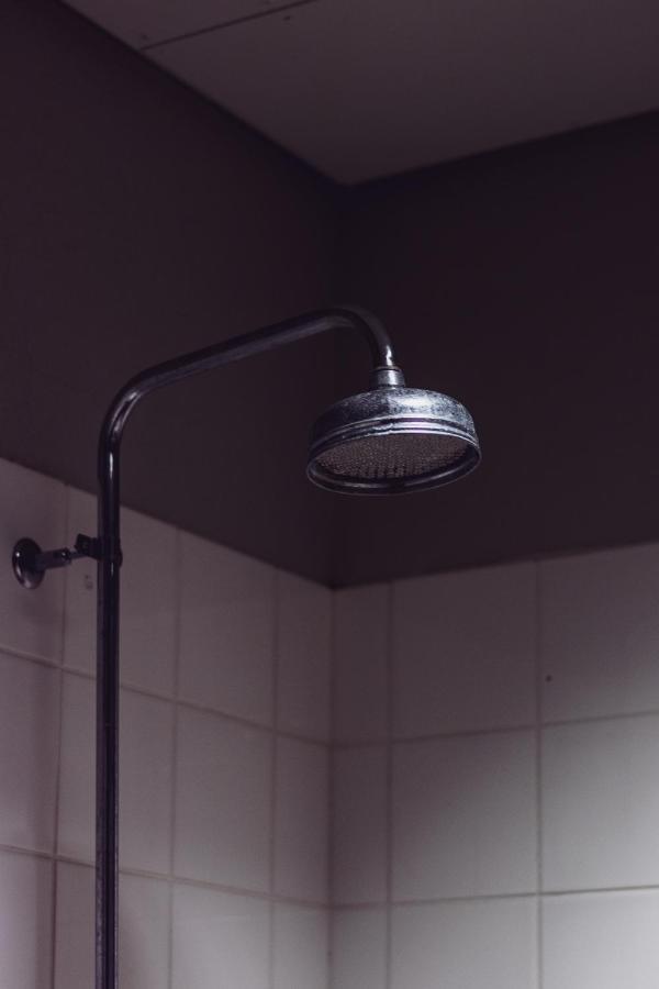 Northeast Guesthouse Bakkafjorthur エクステリア 写真